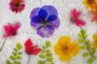 Mixed flowers in ice Art Print